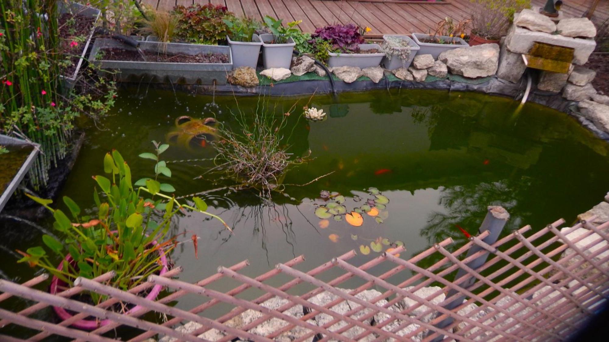 Le Clos Des Passiflores Pons Εξωτερικό φωτογραφία